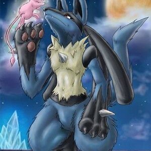 lucario nice
