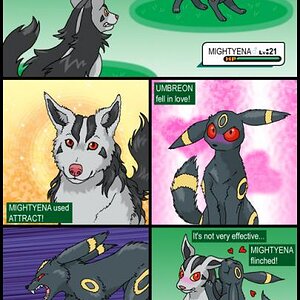 Mightyena vs Umbreon,with a twist....