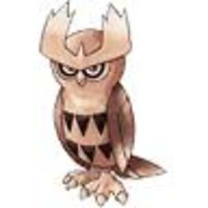 noctowl