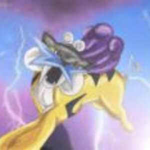 THe power of the thunder..feel the wrath of raikou