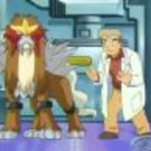 entei is not very happy to have been kidnapped byproffesor Oak!