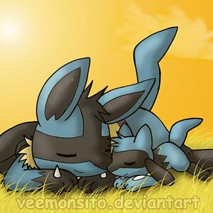 Lucario and Riolu sleeping by Veemonsito