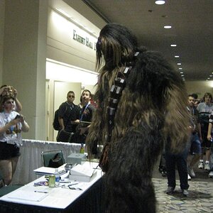 And Chewbacca cosplay, on stilts of course