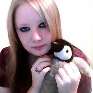 penguin shot