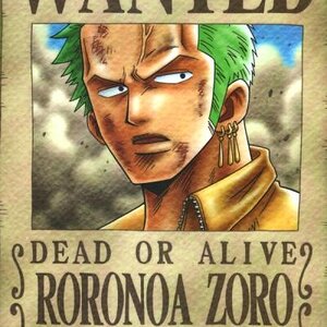 Wanted roronoa zoro