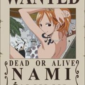 Wanted Nami
