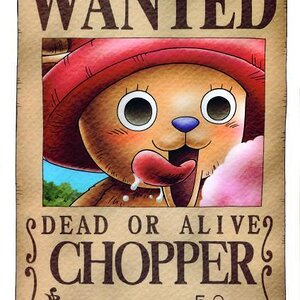 Wanted Tony Tony Chopper