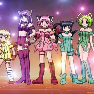 Mew Mew & Her Friends.