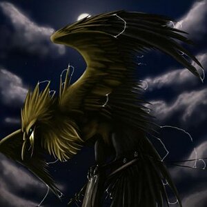 Zapdos (2)