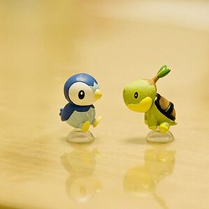 turtwig