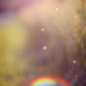 Rainbiw