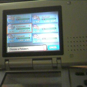 I have recently acquired a DS with Pokemon Platinum. 2 days later and I have 7 badges and pokemon in the 50s.