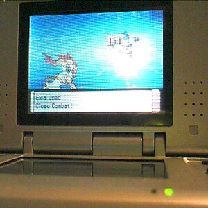 DIE, STARAVIA.