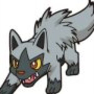 Poochyena Stalking