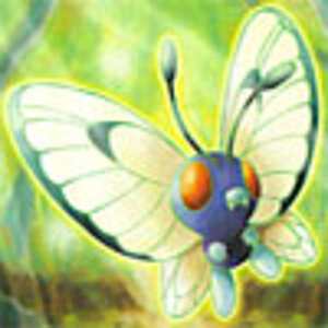 butterfree