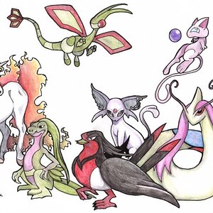 pokemon