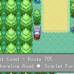 Forest Coast