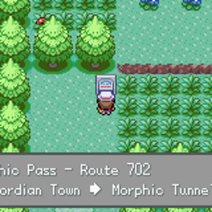 Morphic Pass