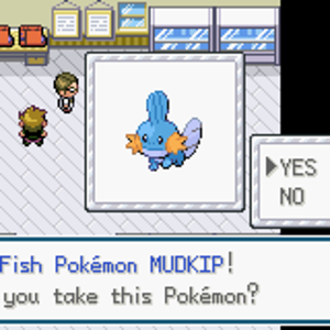 Starter Selection - Mudkip