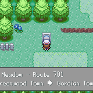 Pine Meadow