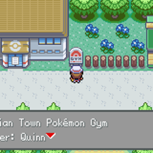 Quinn, Gordian City Gym Leader First Half
