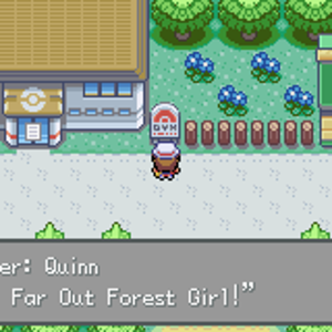 Quinn, Gordian City Gym Leader Second Half