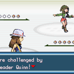 VS Leader Quinn