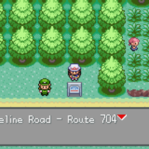 Shoreline Road