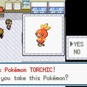 Starter Selection - Torchic