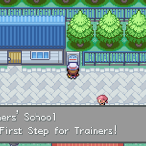 Trainer's School