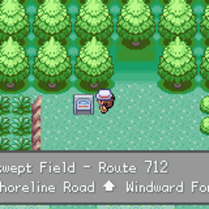 Windswept Field