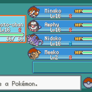 Imoto-chan the Grovyle - lv16
Minako the Pidgey - lv16
Amphy the Flaaffy - lv16
Nidoko the Nidoking - lv16
Meeko the Zigzagoon - lv2