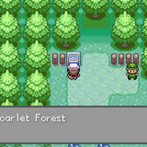 Scarlet Forest