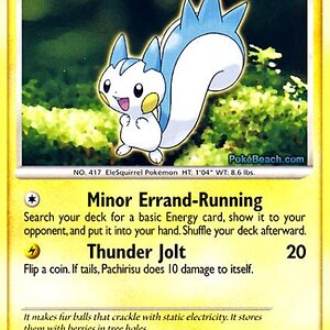 35 pachirisu