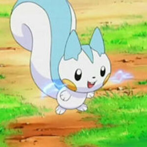 290px Pachirisu