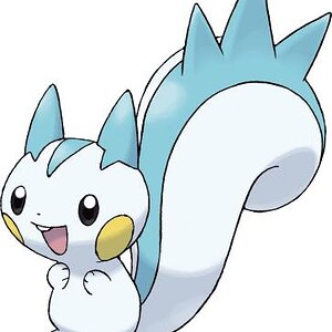 417Pachirisu