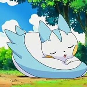 202828 pachirisu nap time large