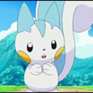 pachirisu4