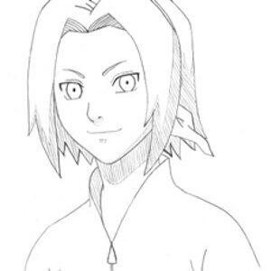 Sakura Sketch