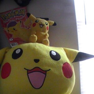pika pi stuffs 003
