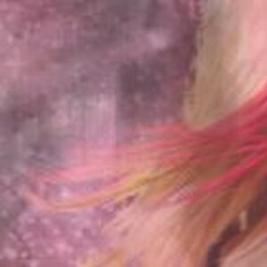 Avril Black Star Signature