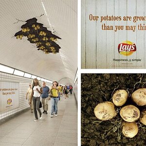 Advertising is teh hawts.