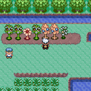 Pokémon Darkness Version 7
