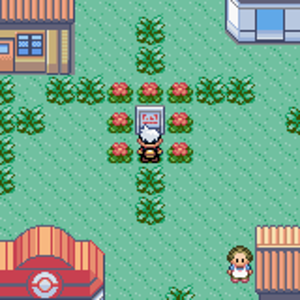Pokémon Darkness Version 6