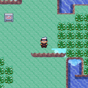 Pokémon Darkness Version 5