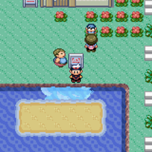 Pokémon Darkness Version 4
