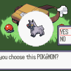 Pokémon Darkness Version 1