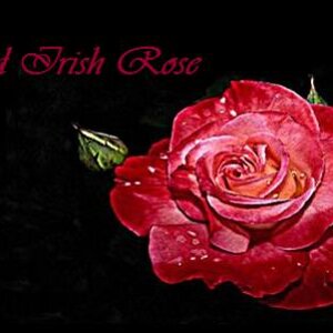 Rose's custom siggy -- Did this one in Paint actually. Actually, resized a desktop wallpaper then added text with Paint.
