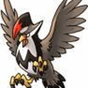 Staraptor