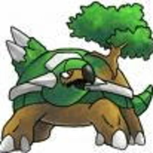 Torterra